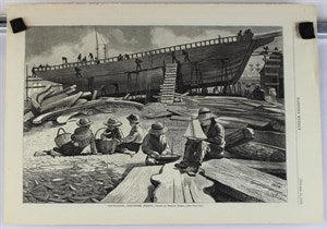 Image description is not available for DU1946.486